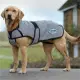 Weatherbeeta ComFiTec Reflective hondenjas Medium